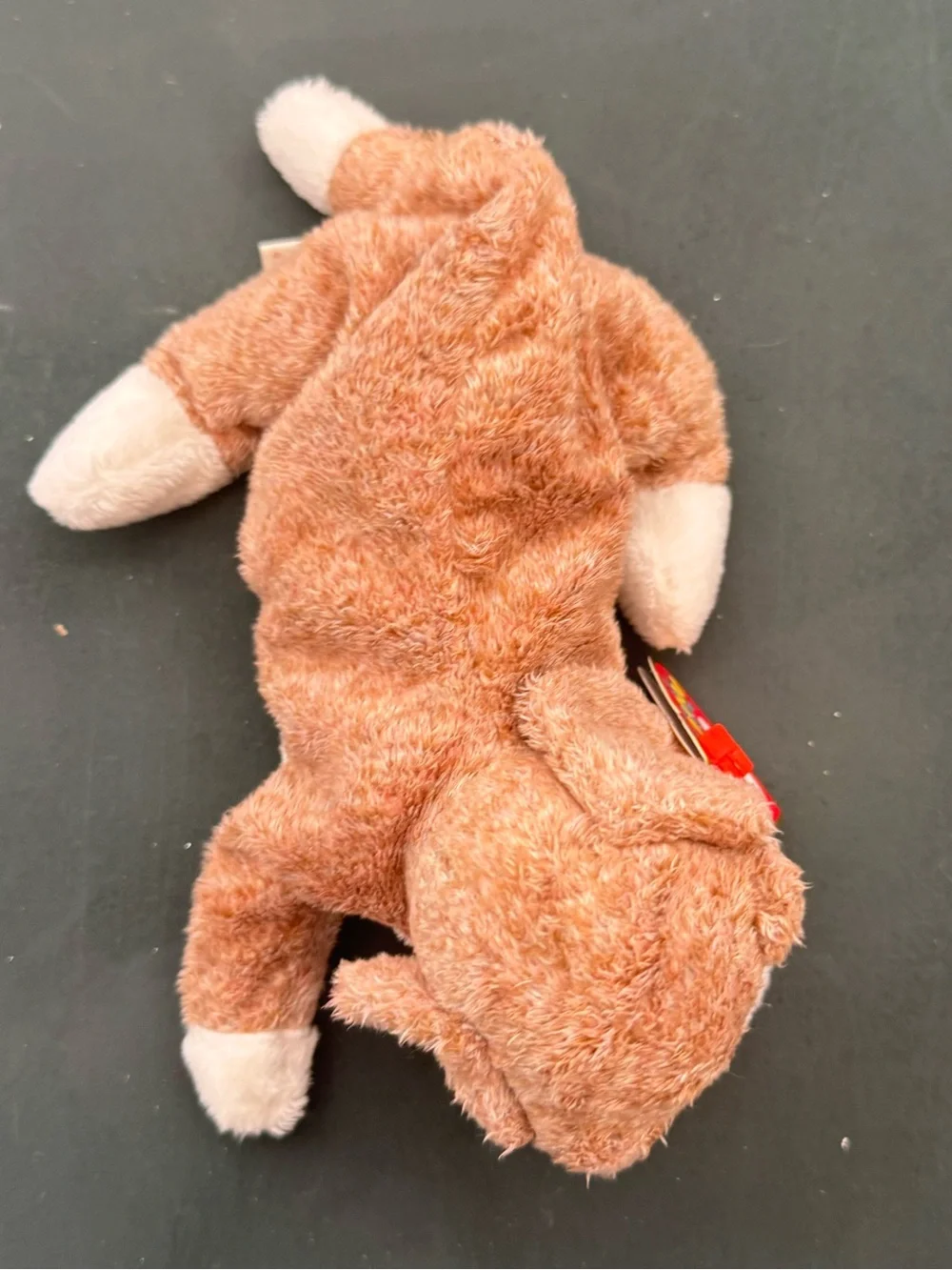 New With Tags TY Beanie Boos - Rainbow Chameleon and Sniffer Dog